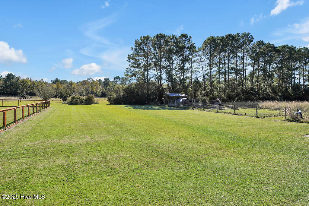 100537845 | Photo 53