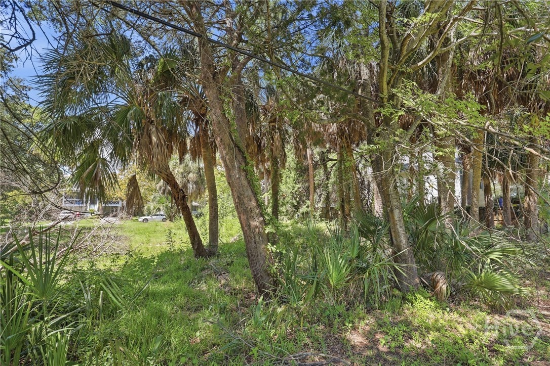 Photo 4 of Land for sale at 1312 6th Avenue, Tybee Island, GA 31328 | MLS# SA364393 | Listing updated on 2026-09-16