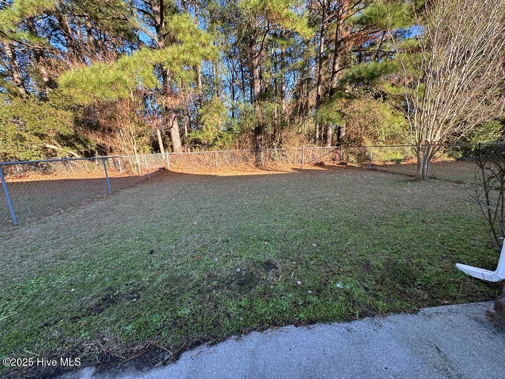 100545042 | Photo 13