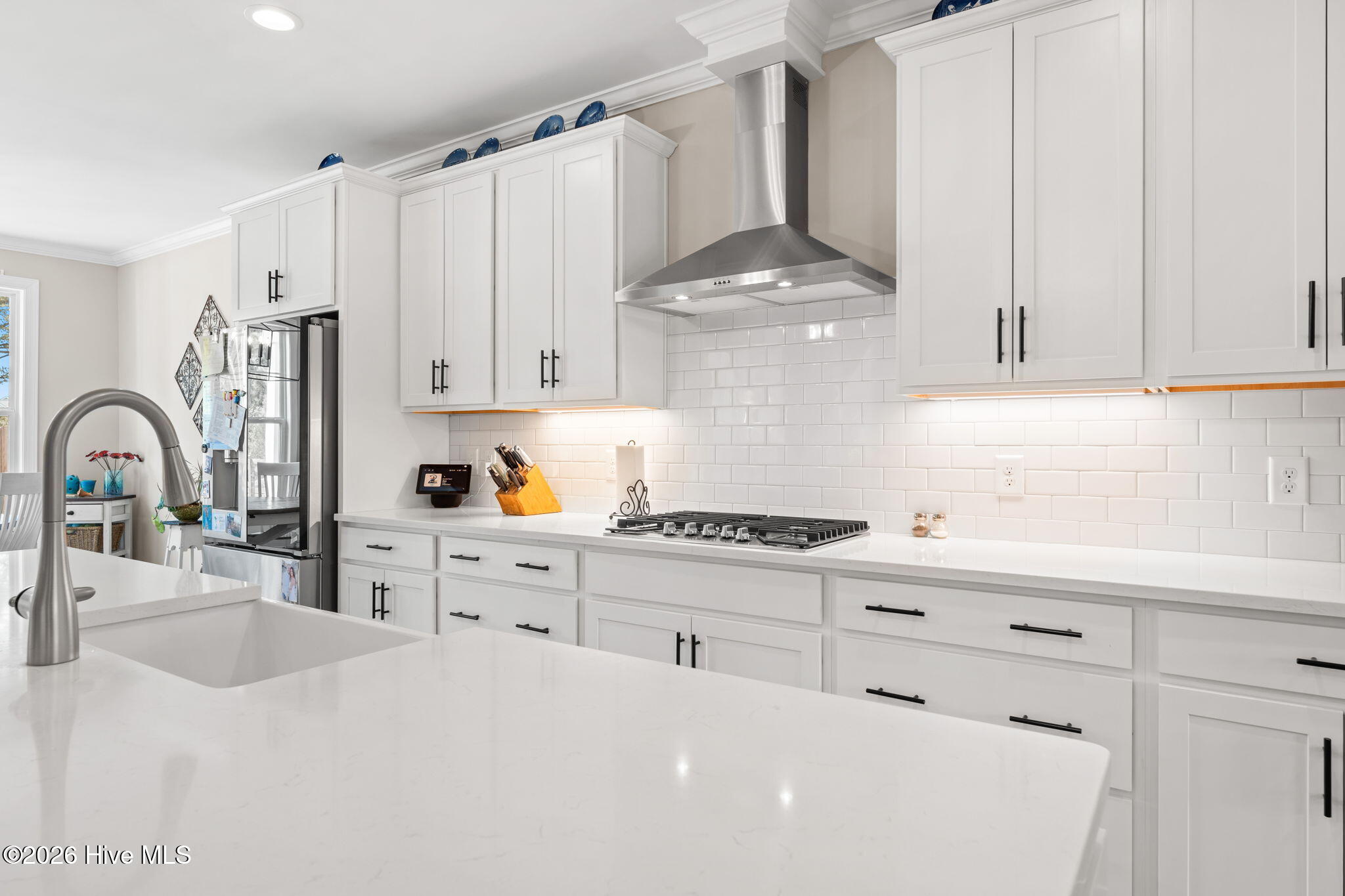 100564109 | Photo 12