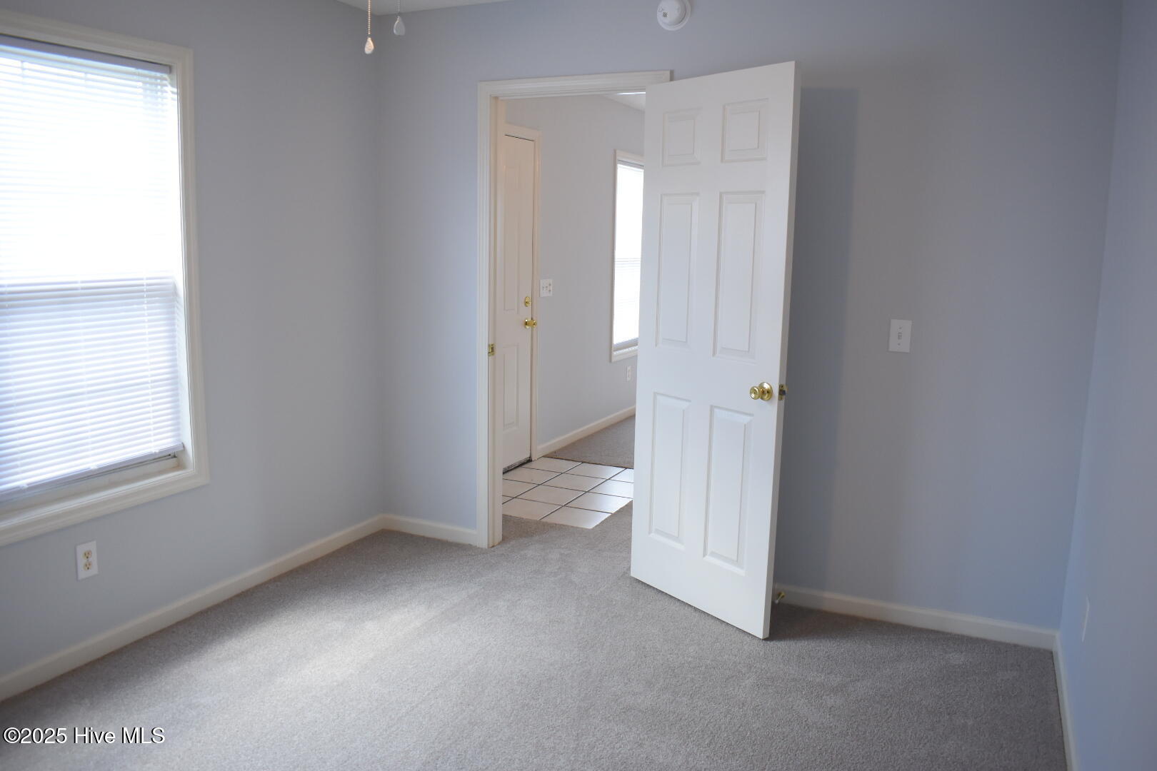 100538470 | Photo 34