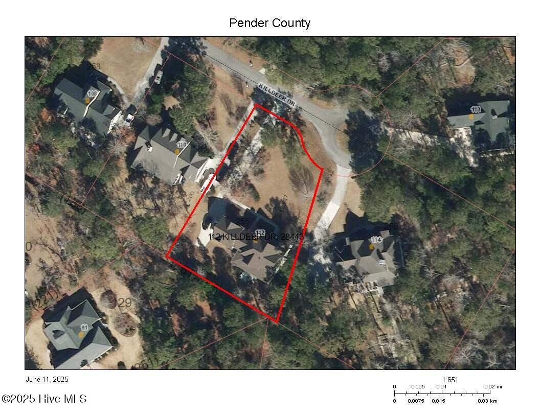 100513085 | Photo 59