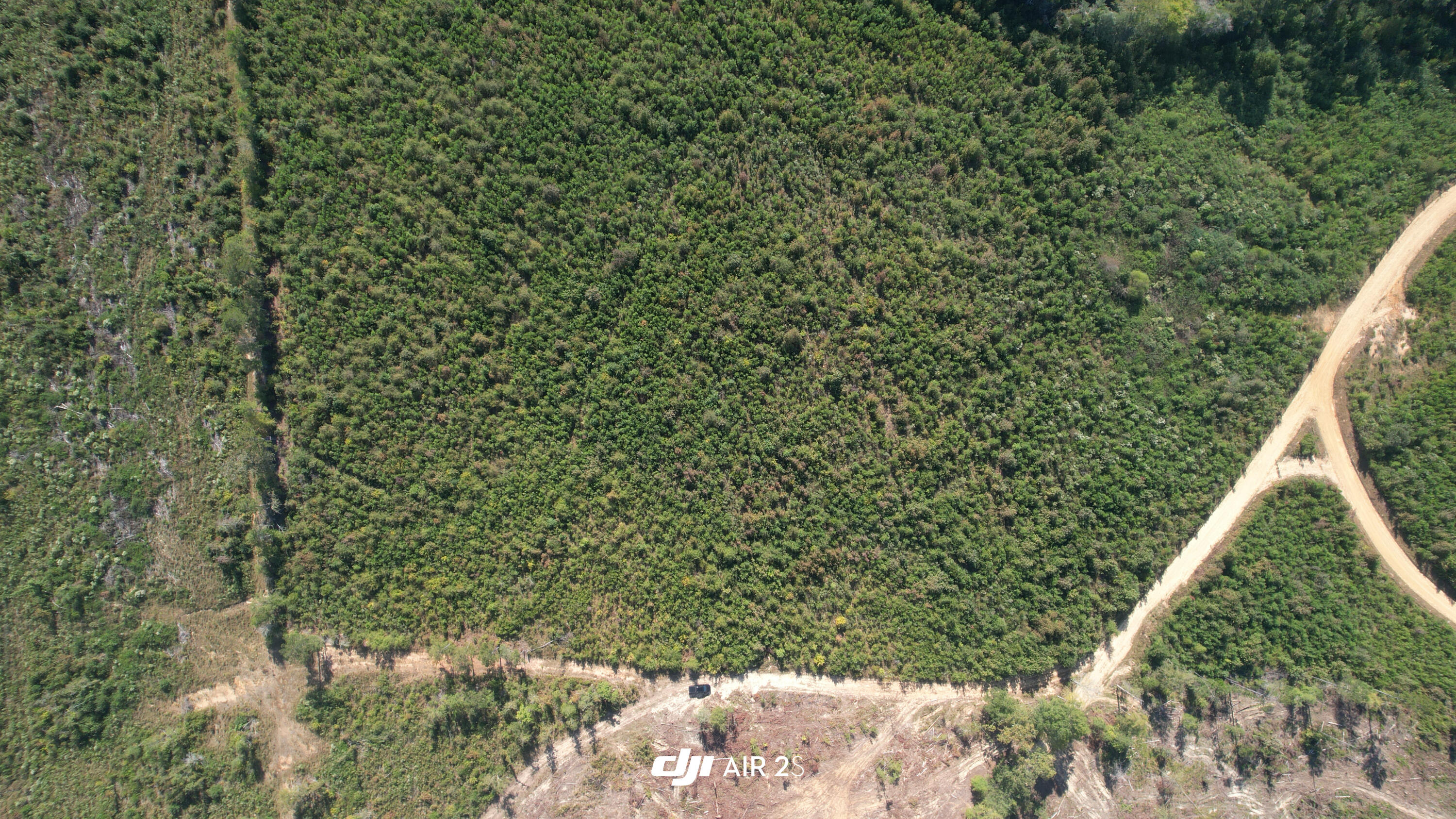 108 Peewee Murphy Lane, Richlands, NC, 28574