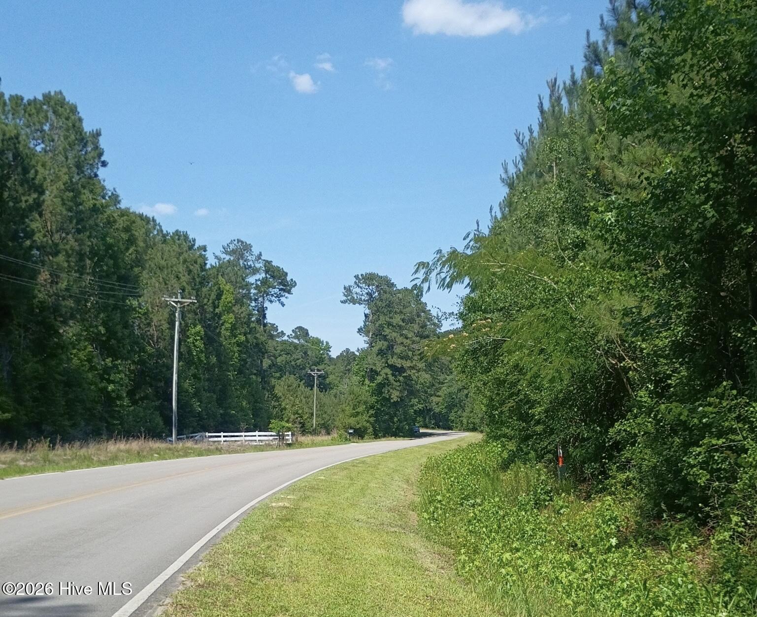 2nd image of 0 Point Caswell Rd Rd, Atkinson, NC 28421 | MLS# 100591684