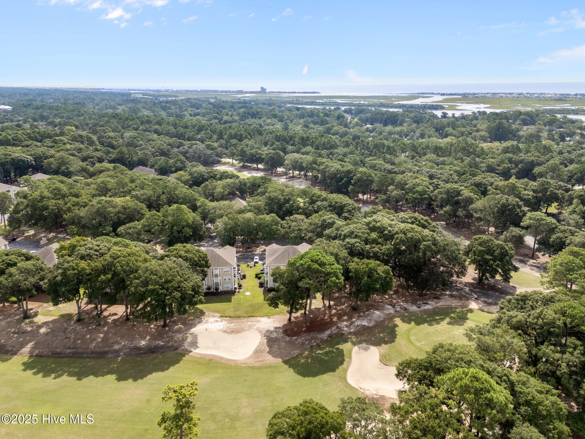 100528935 | Photo 54