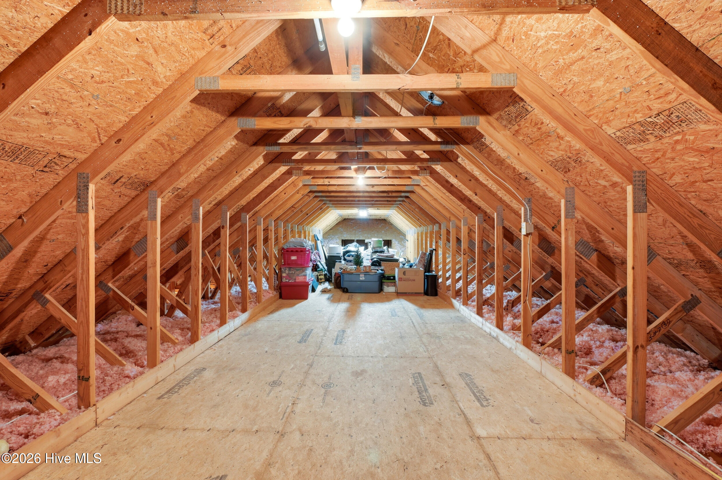 100557238 | Photo 35