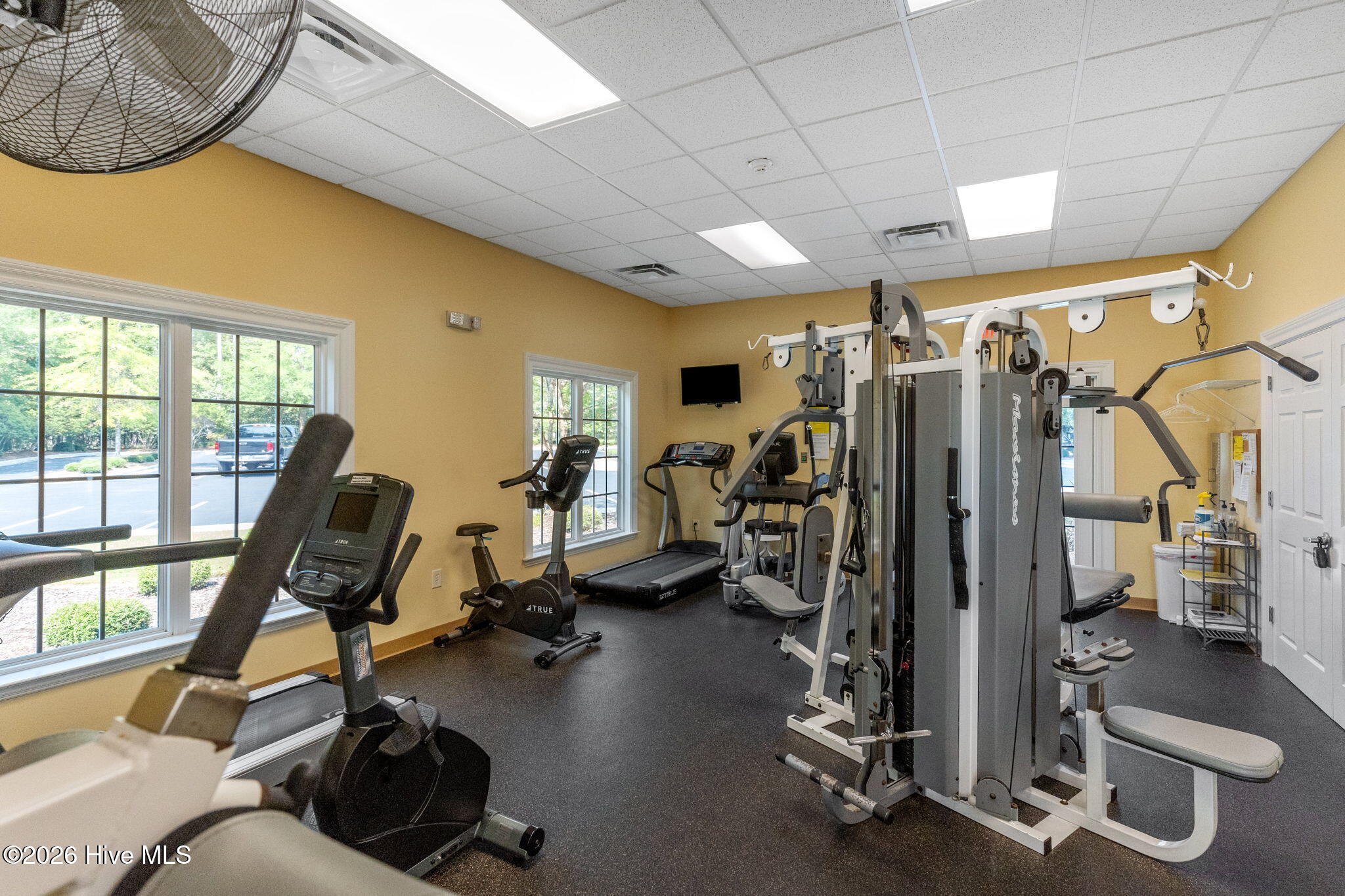 100563731 | Photo 93