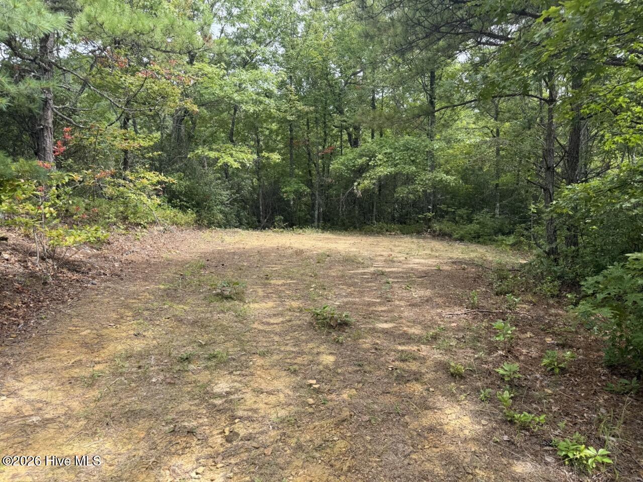 4th image of 760 Cliff Top Trl, Andrews, NC 28901 | MLS# 100593974