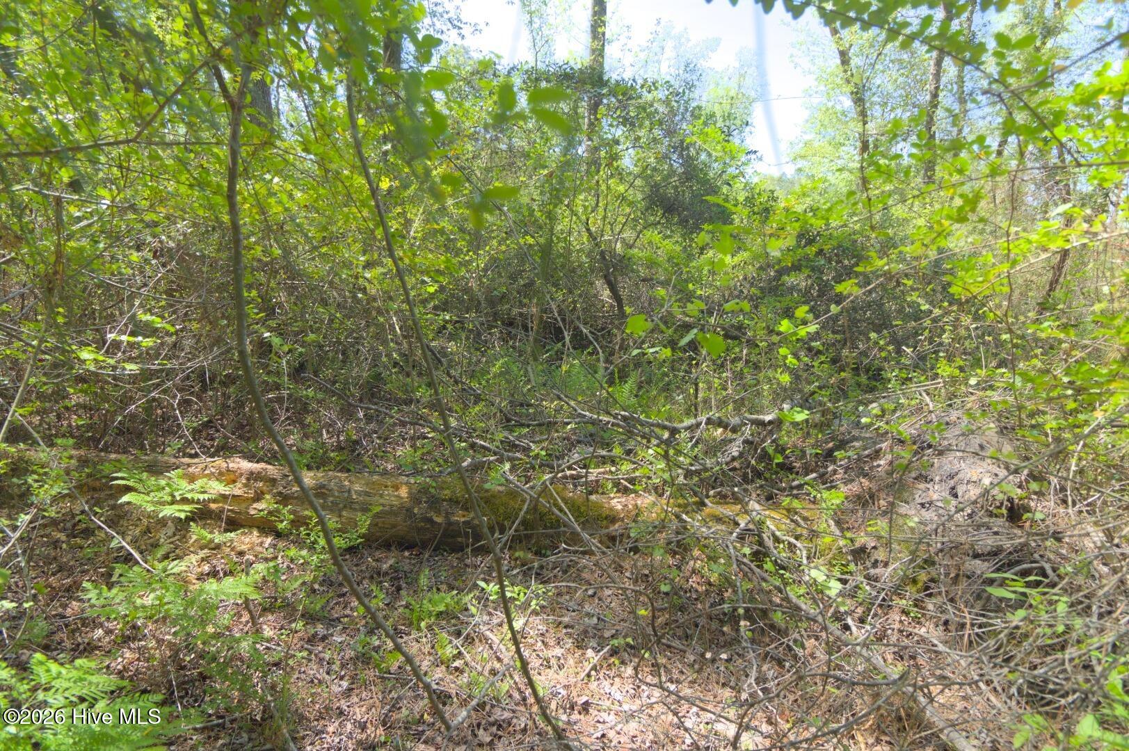 Ground Site 18 Rugged Terrain Context