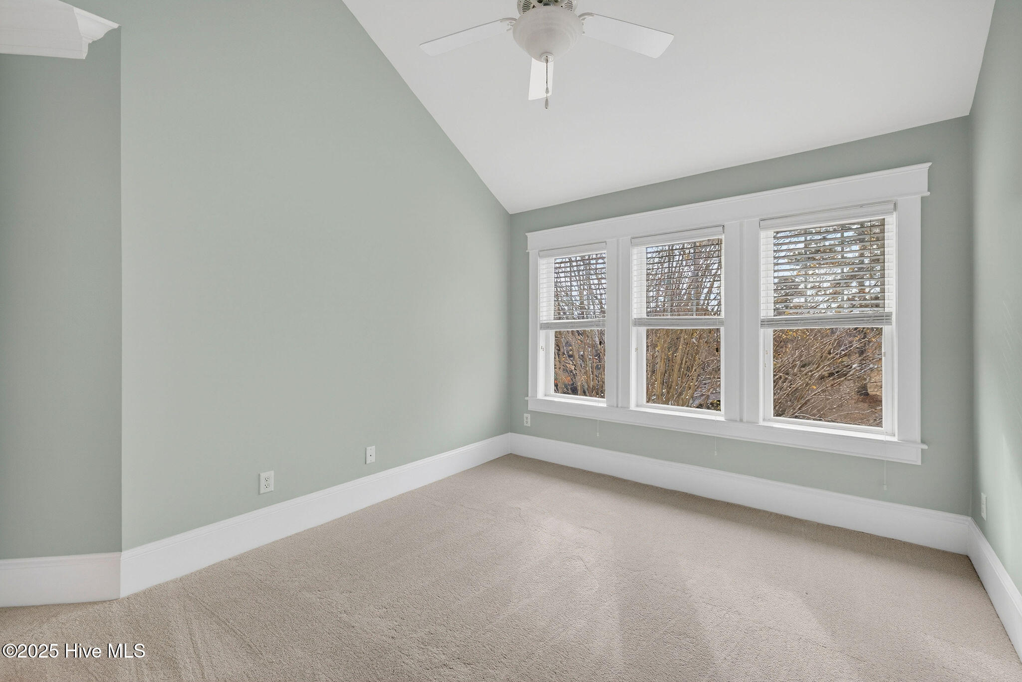 100545451 | Photo 40