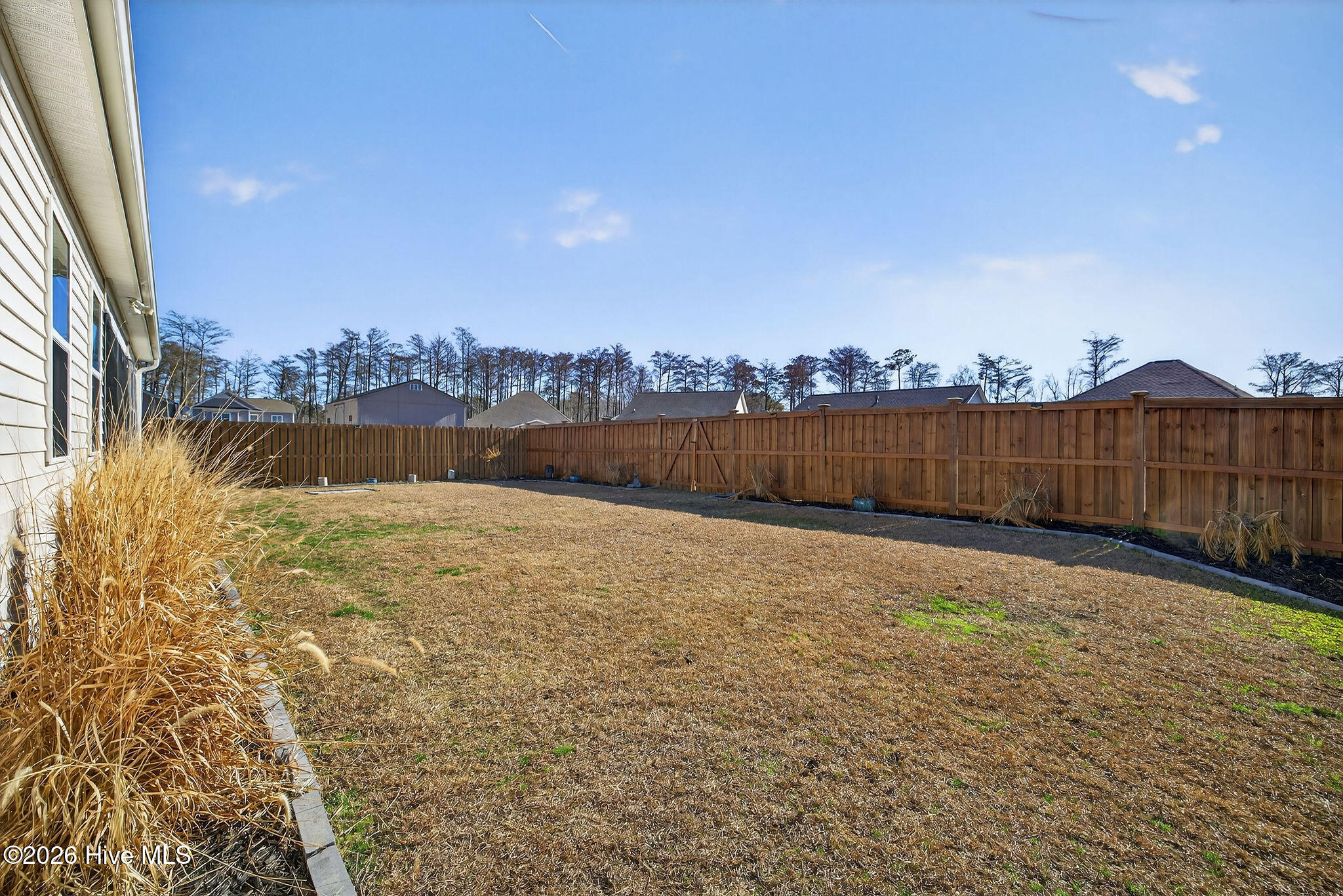 100547233 | Photo 35