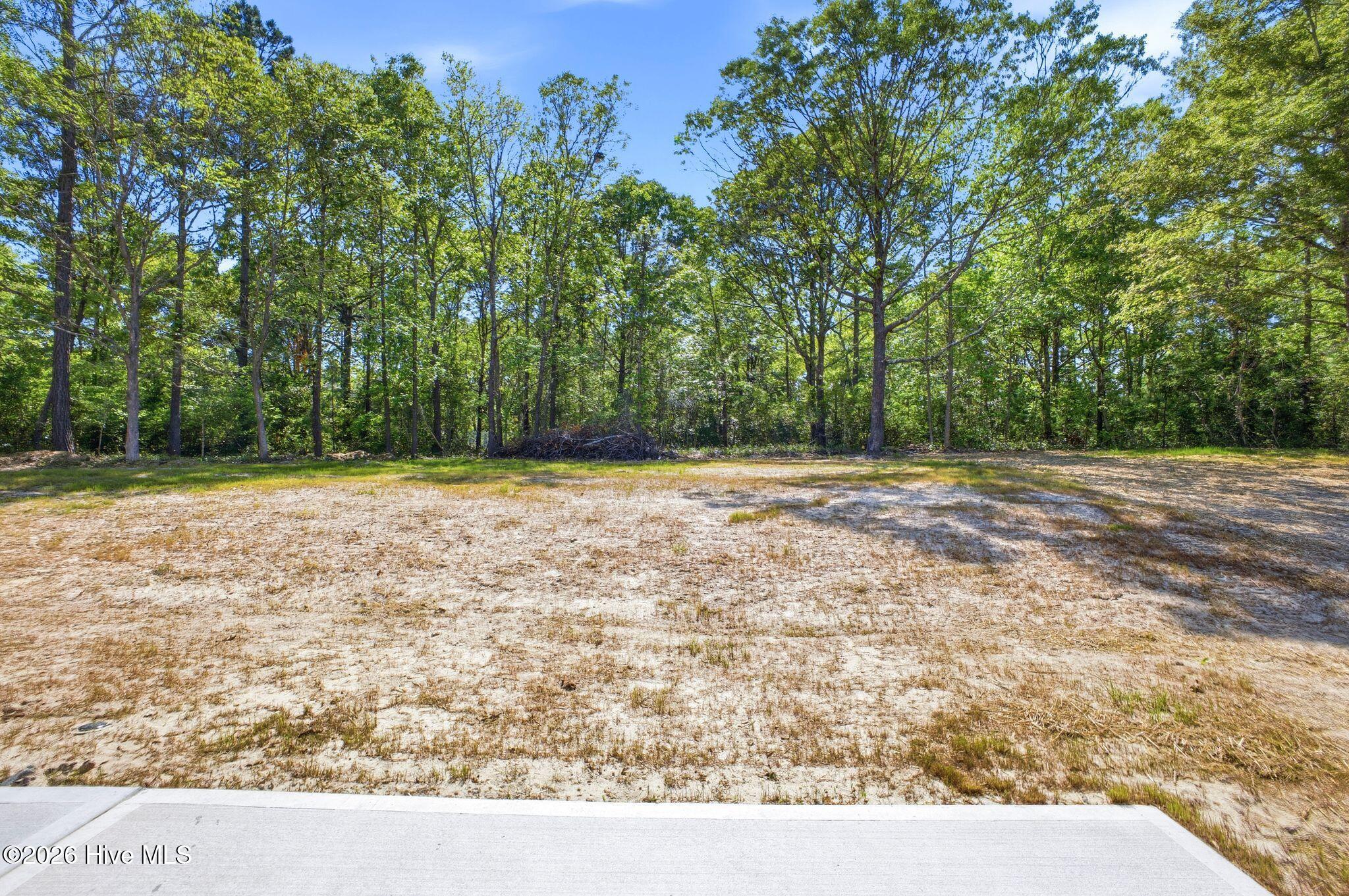 100568135 | Photo 12