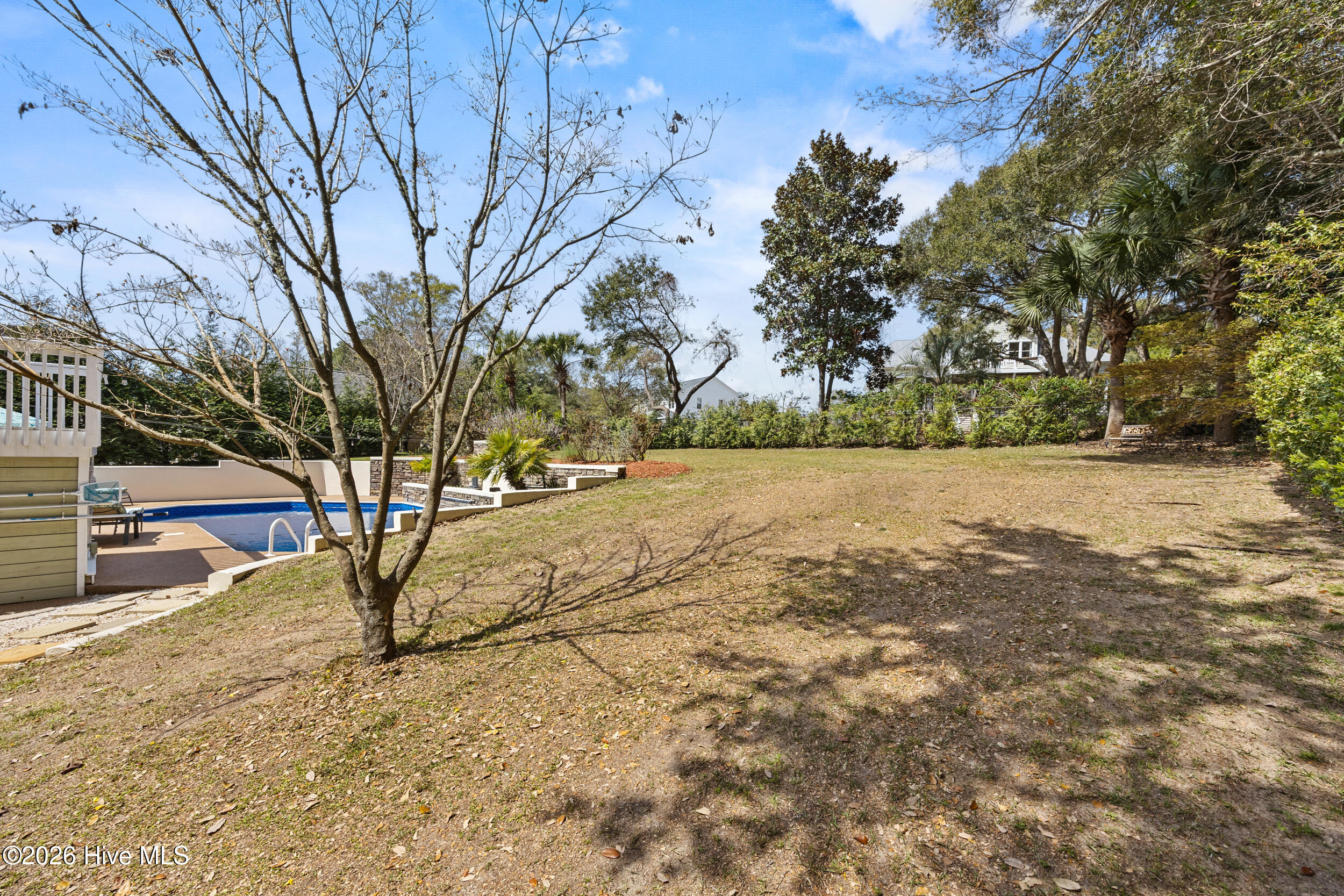 100567542 | Photo 80