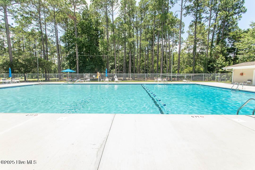 100541547 | Photo 50