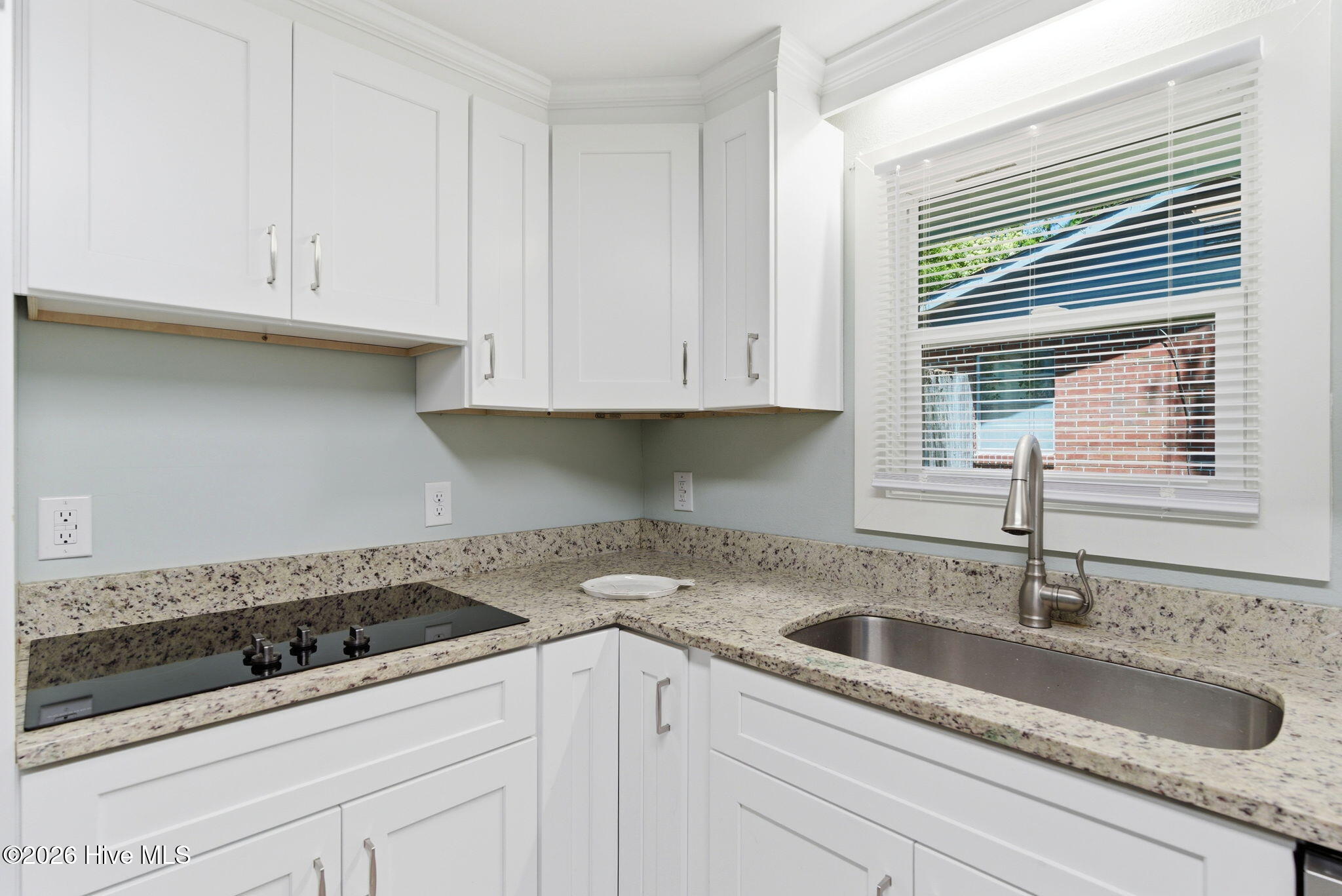 100569576 | Photo 10