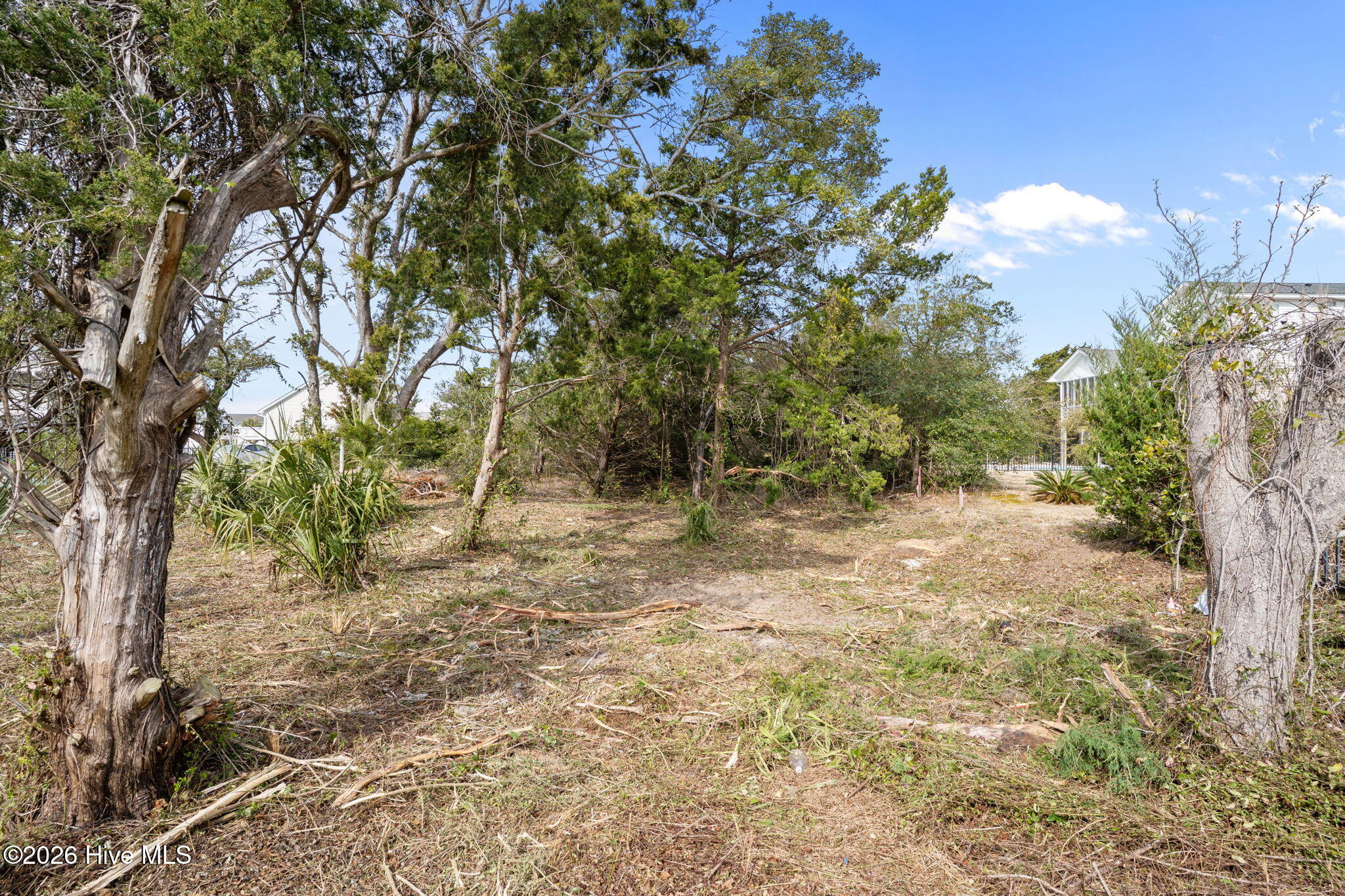 100561444 | Photo 13