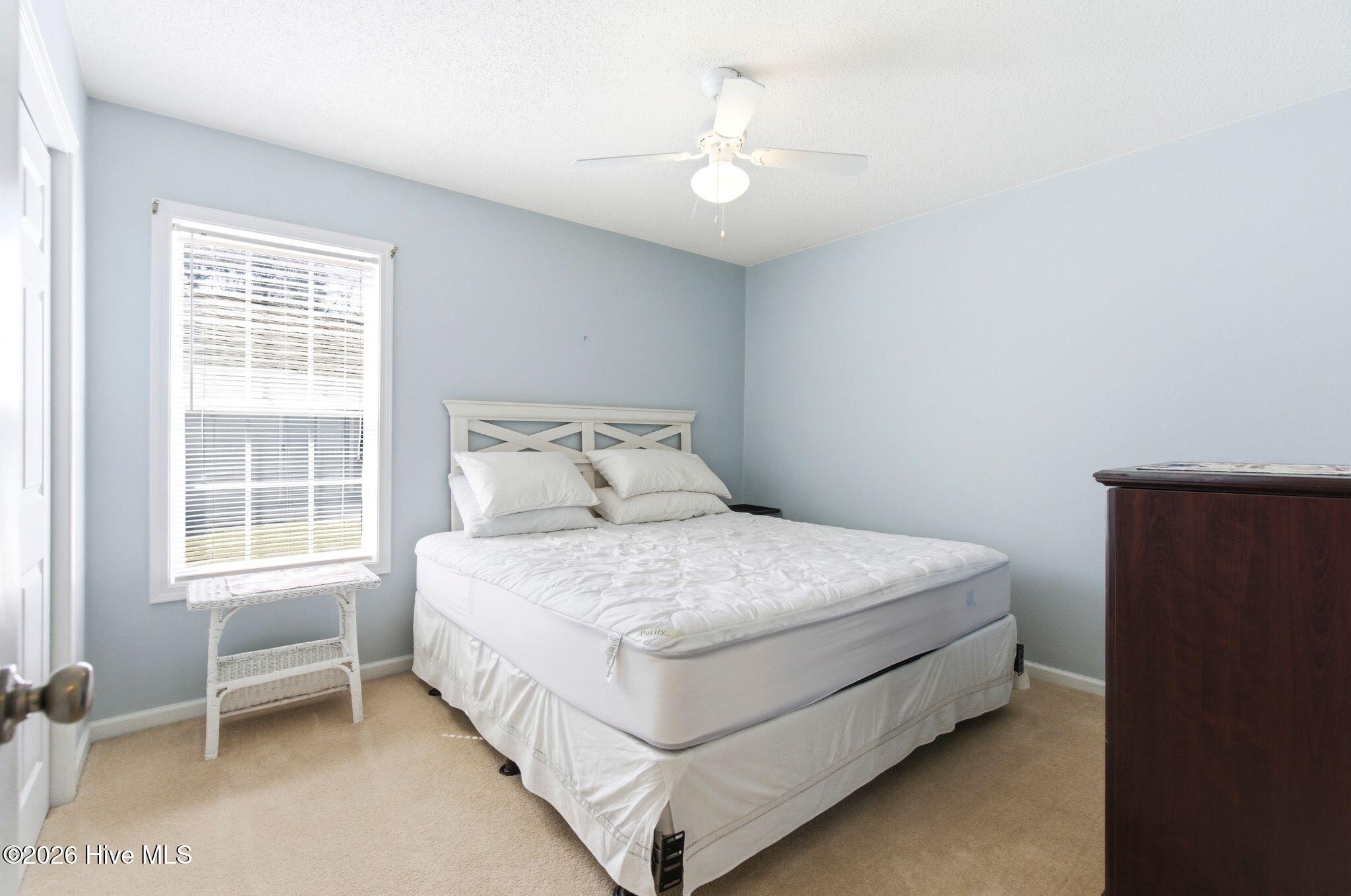 100562982 | Photo 34