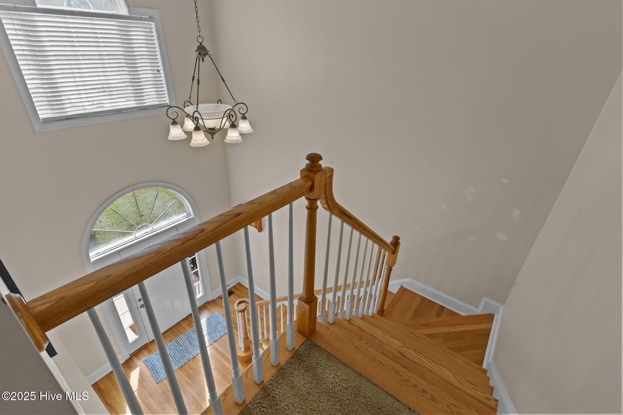 100538095 | Photo 34