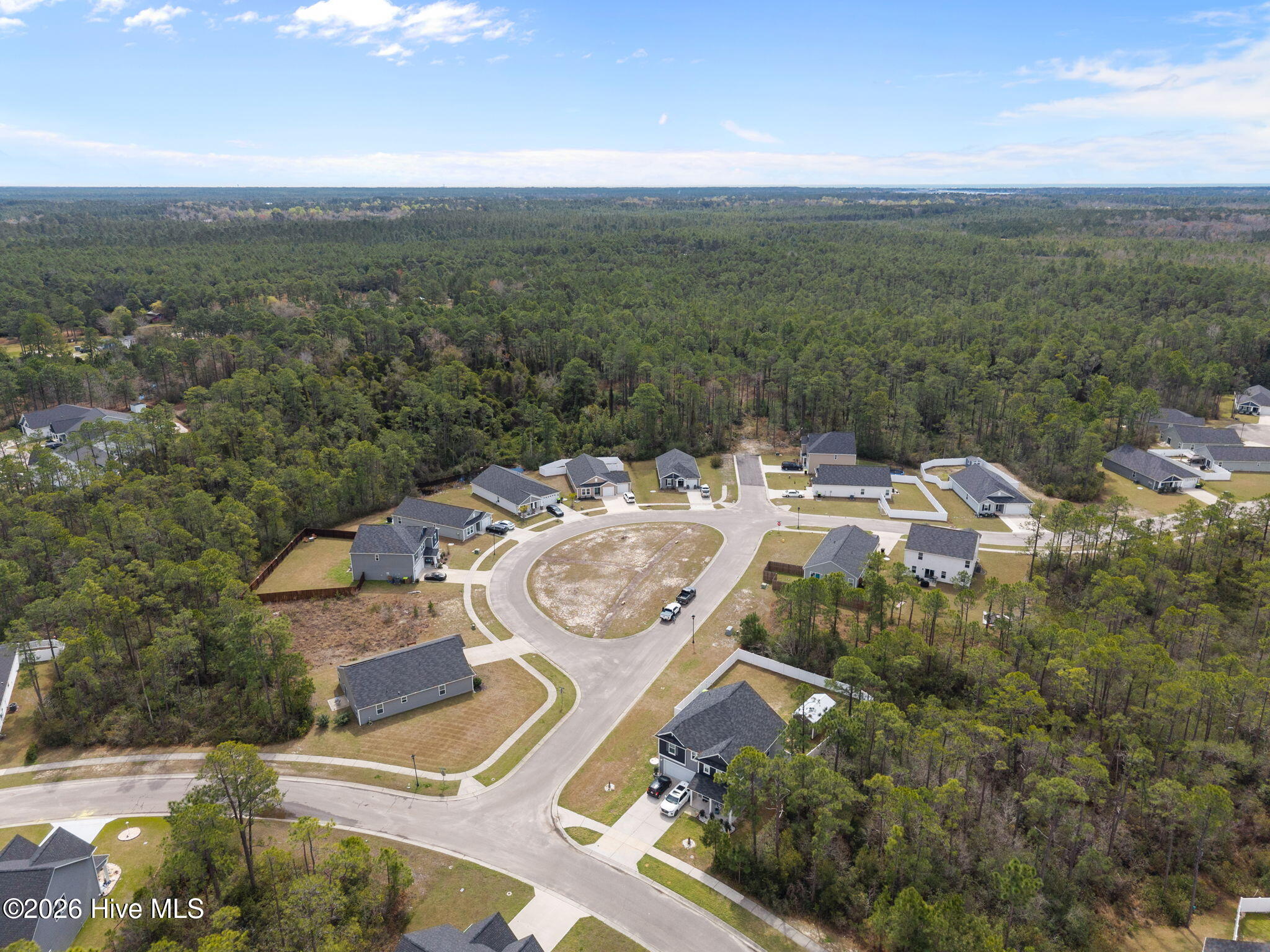 100564485 | Photo 47