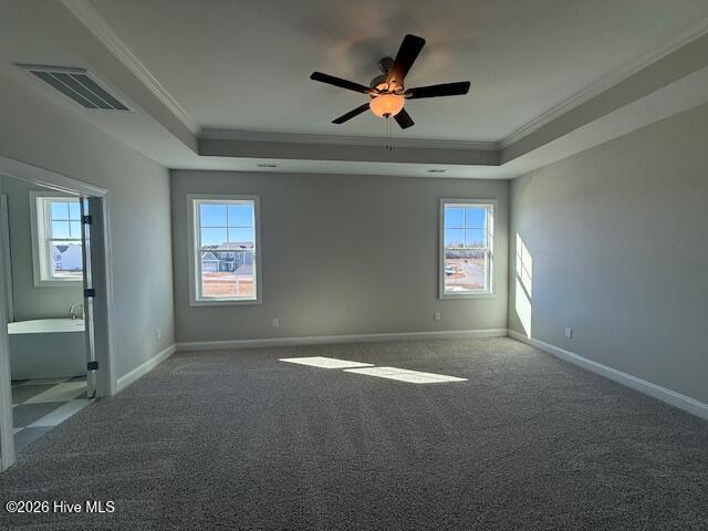 100558405 | Photo 18