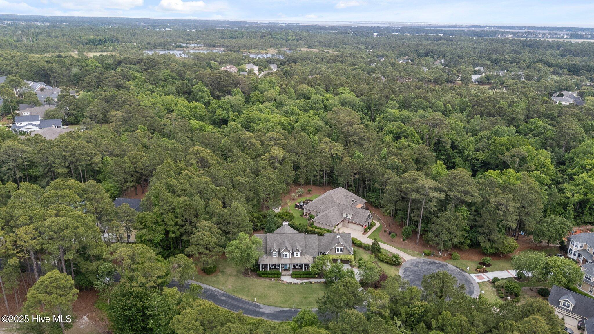 100565962 | Photo 13