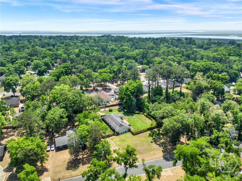 707 White Bluff Avenue, Savannah, GA 31419 Listing Photo  58