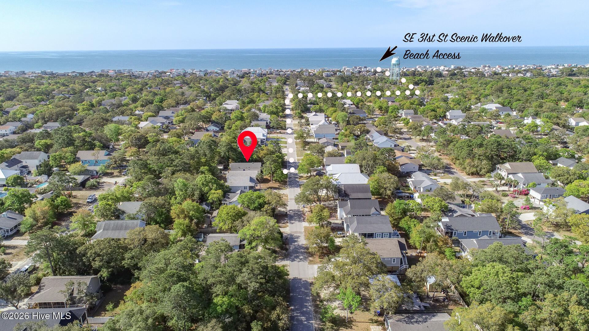 100559480 | Photo 39