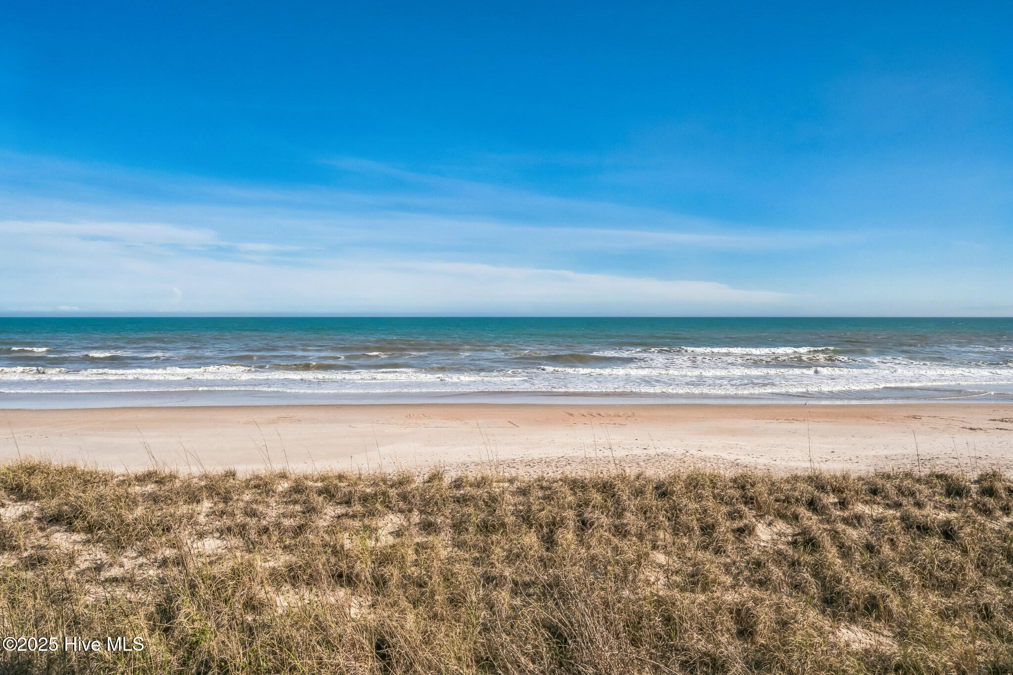 100498114 | Photo 29