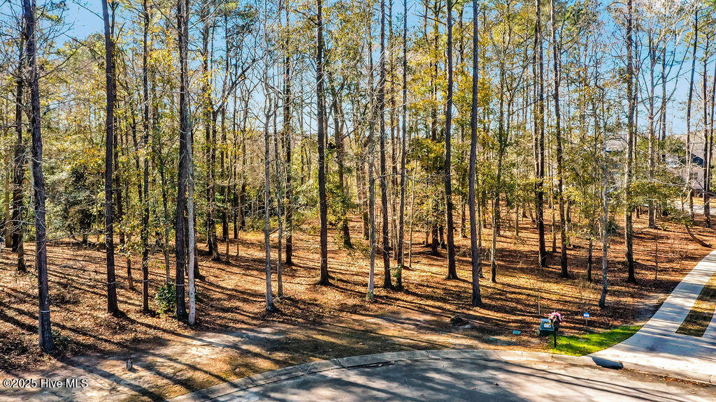 100482094 | Photo 22