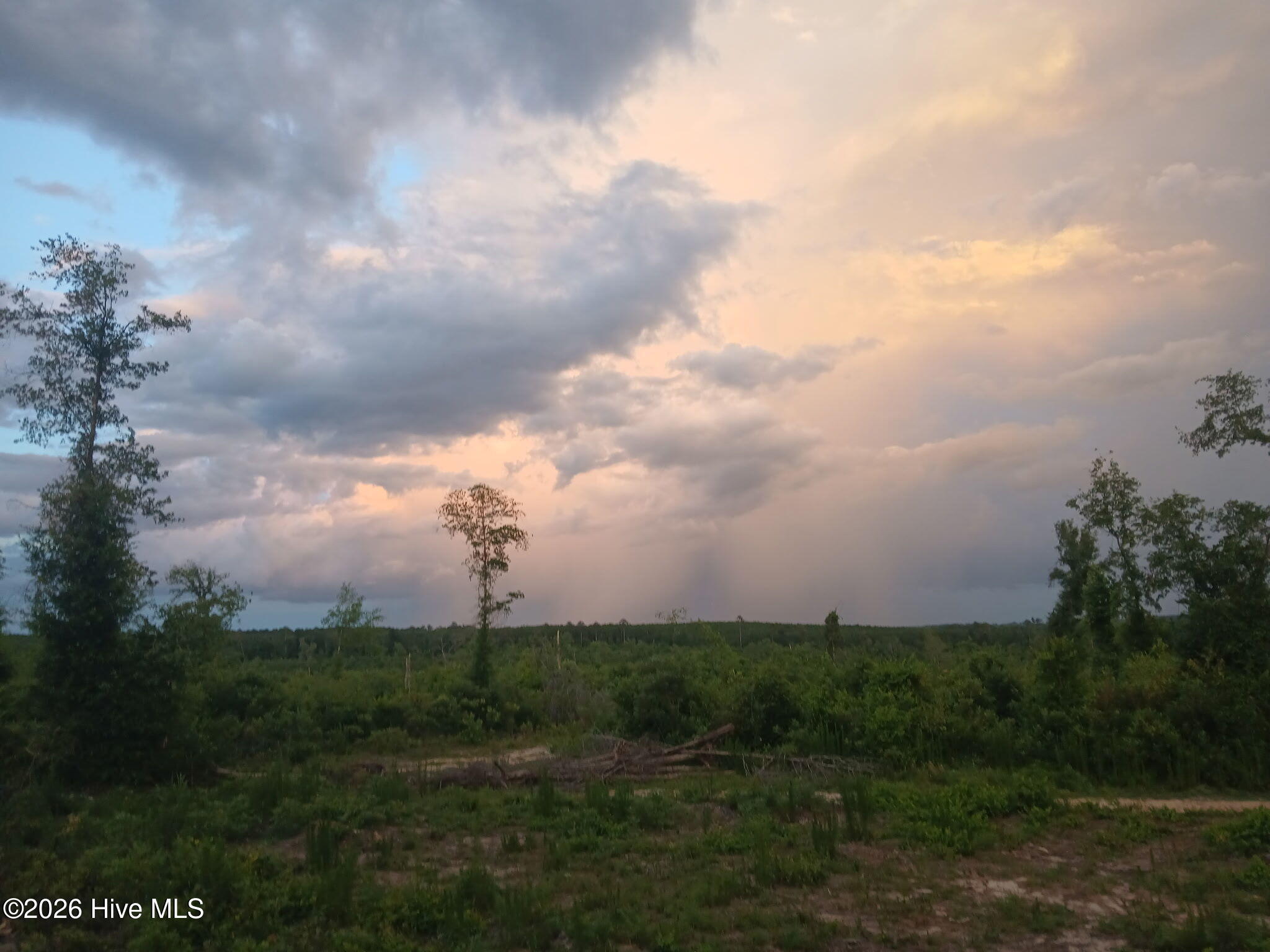 Photo 4 of Land for sale at 1570 Hephzibah Mcbean Rd, Hephzibah, GA 30815 | MLS# 100603736 | Listing updated on 2026-09-15