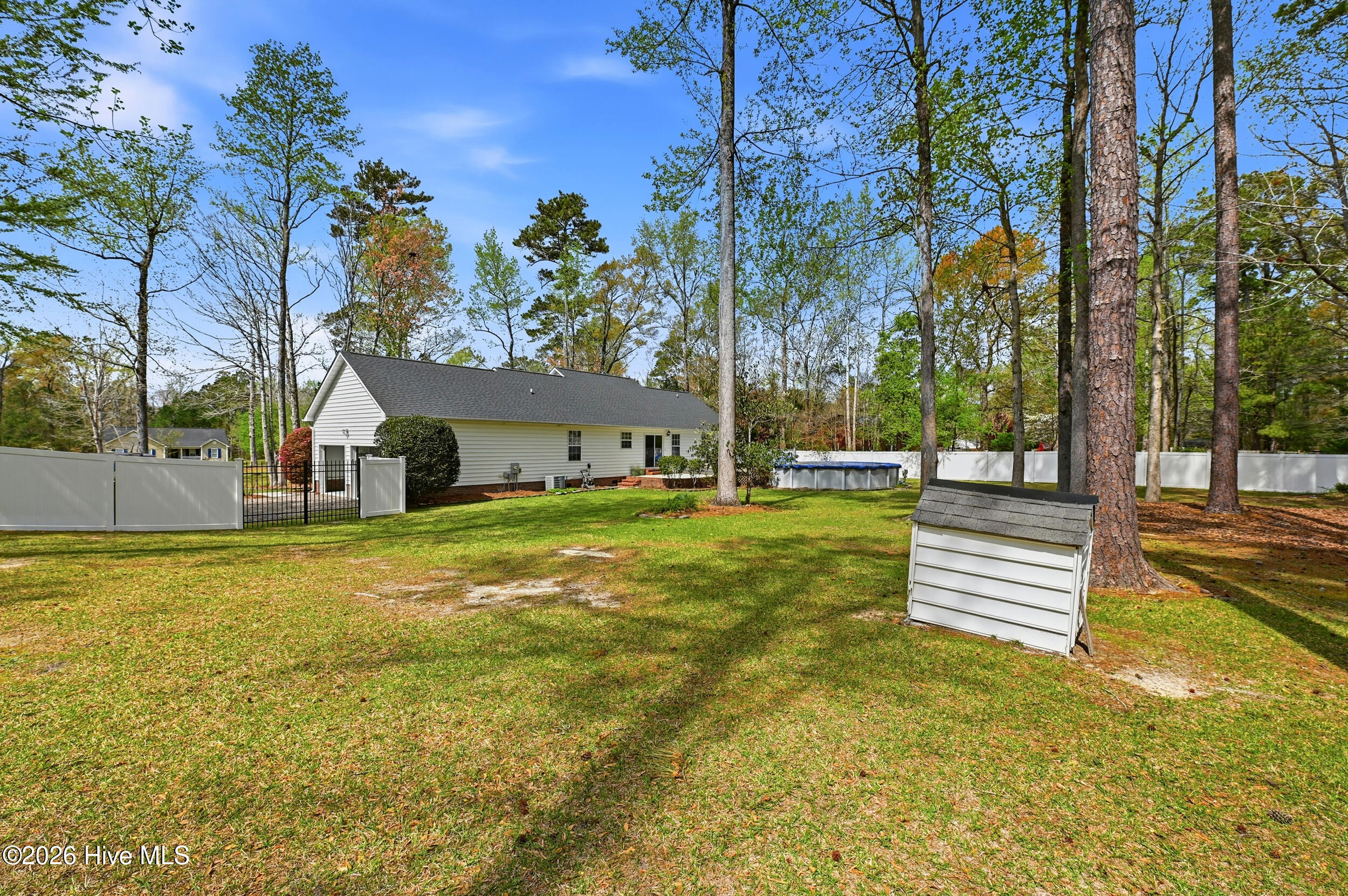 100562256 | Photo 41