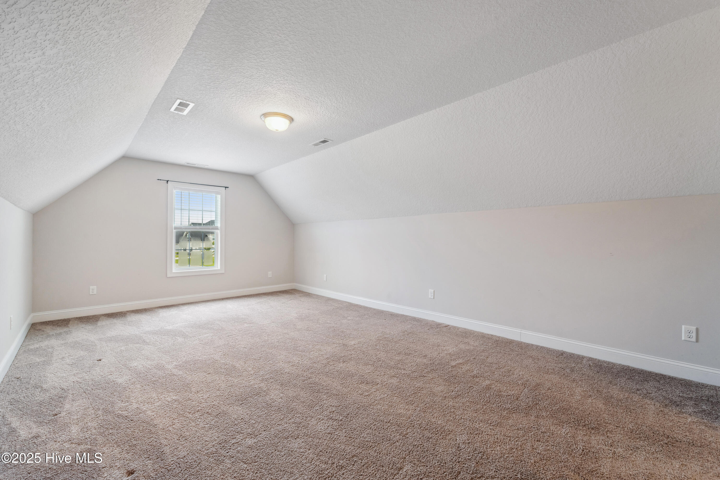 100562423 | Photo 16