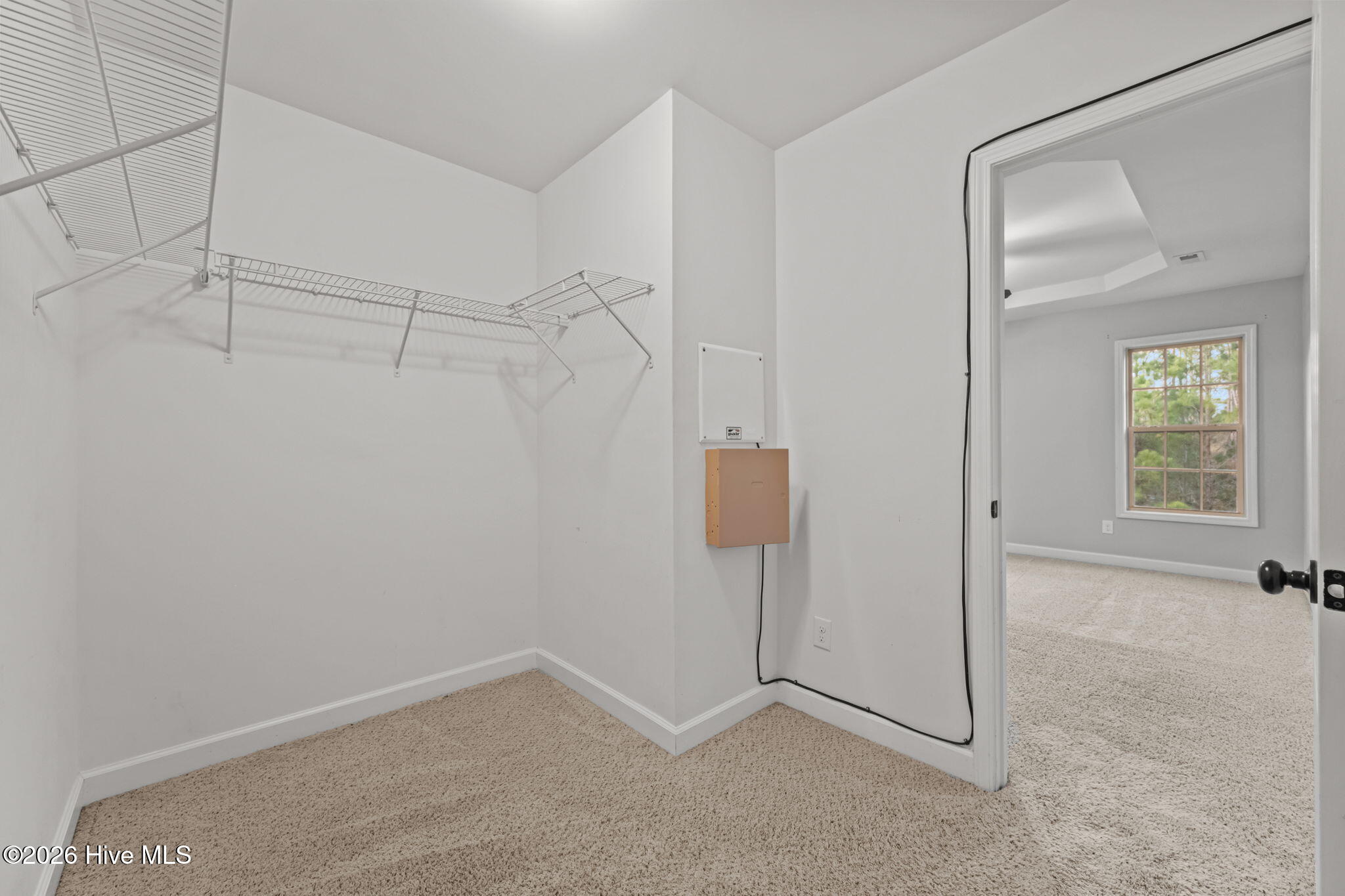 100549428 | Photo 19