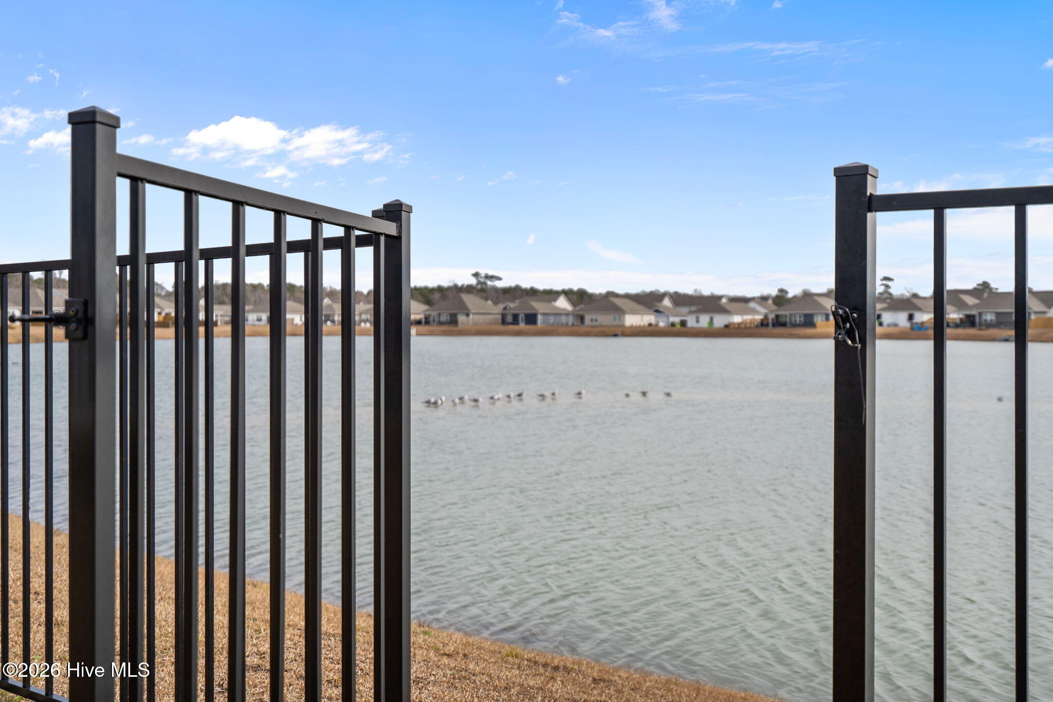 100555657 | Photo 42