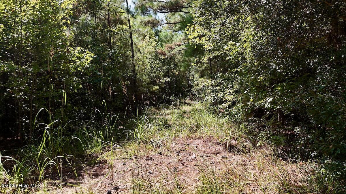 100531803 | Photo 21