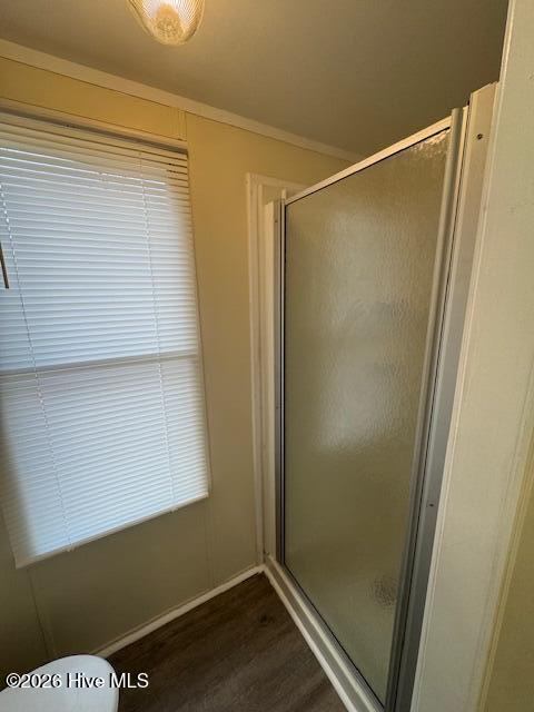 100548296 | Photo 15