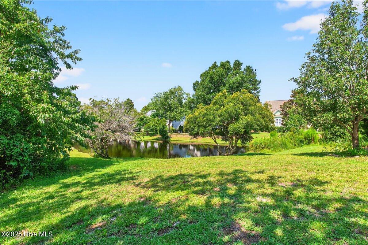 100561885 | Photo 73