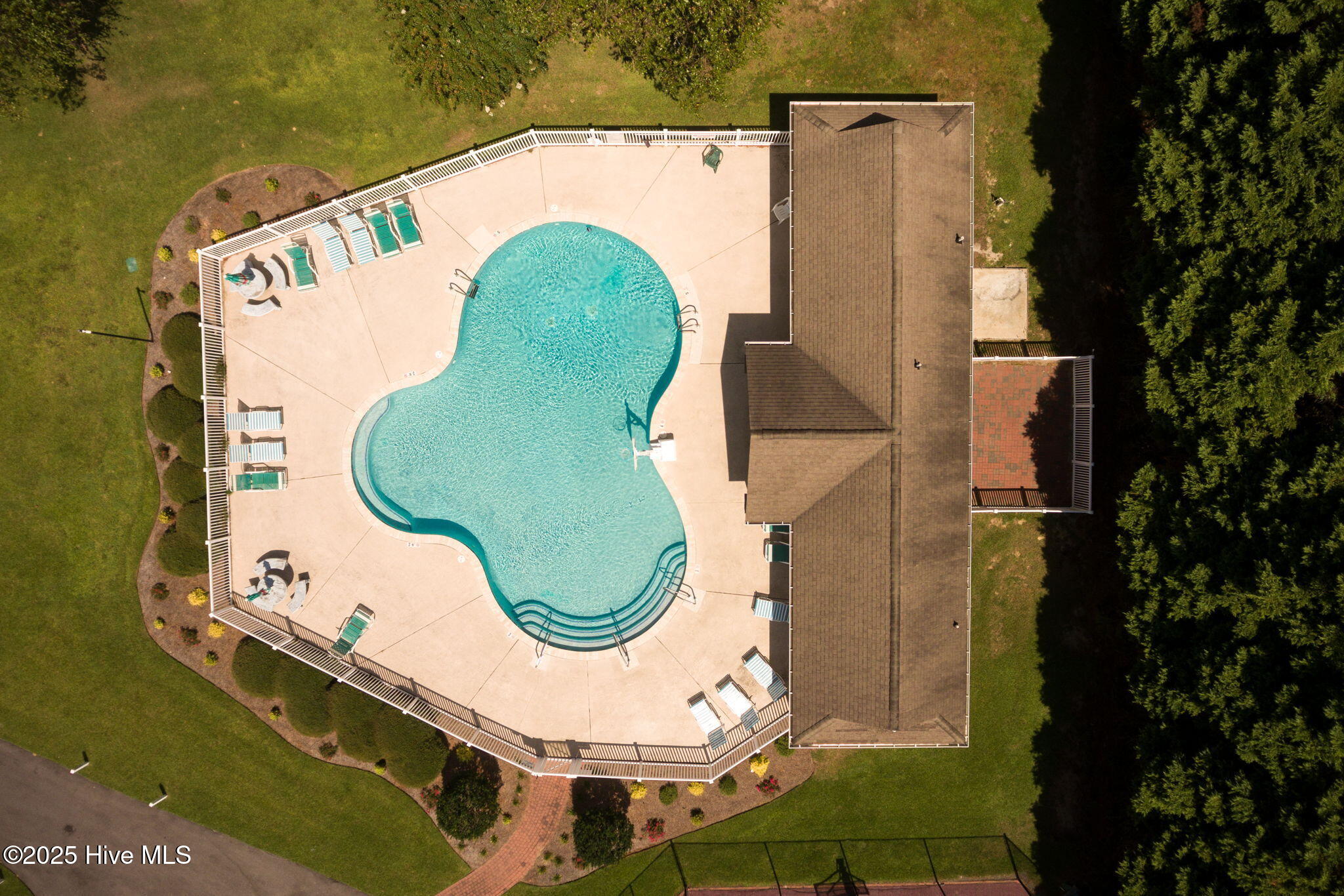 100556100 | Photo 25