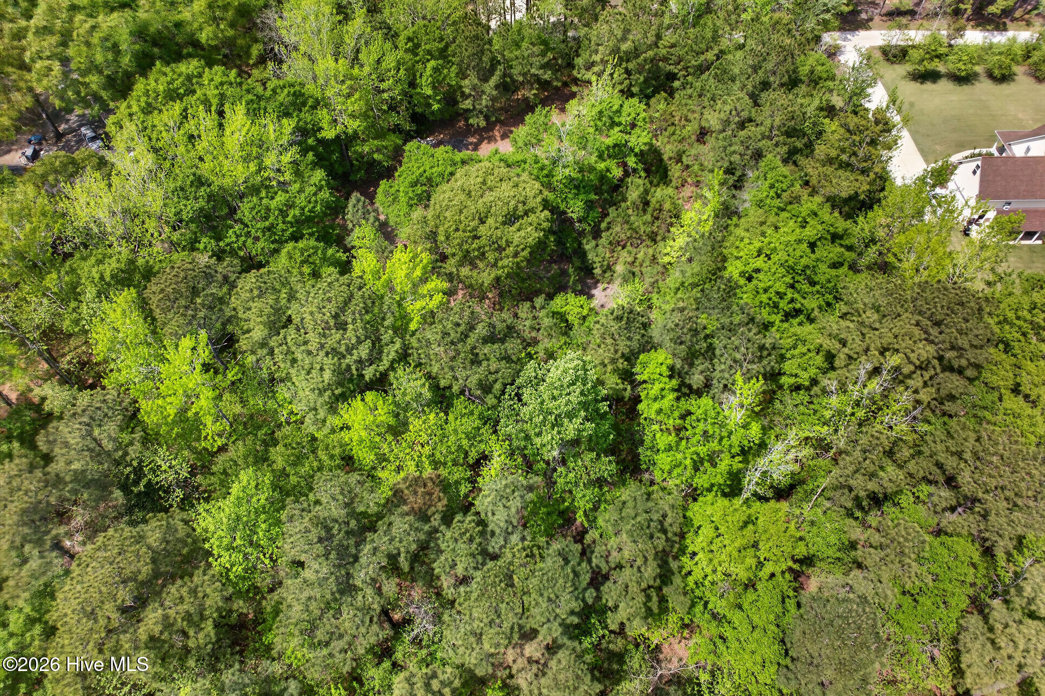 100566572 | Photo 15