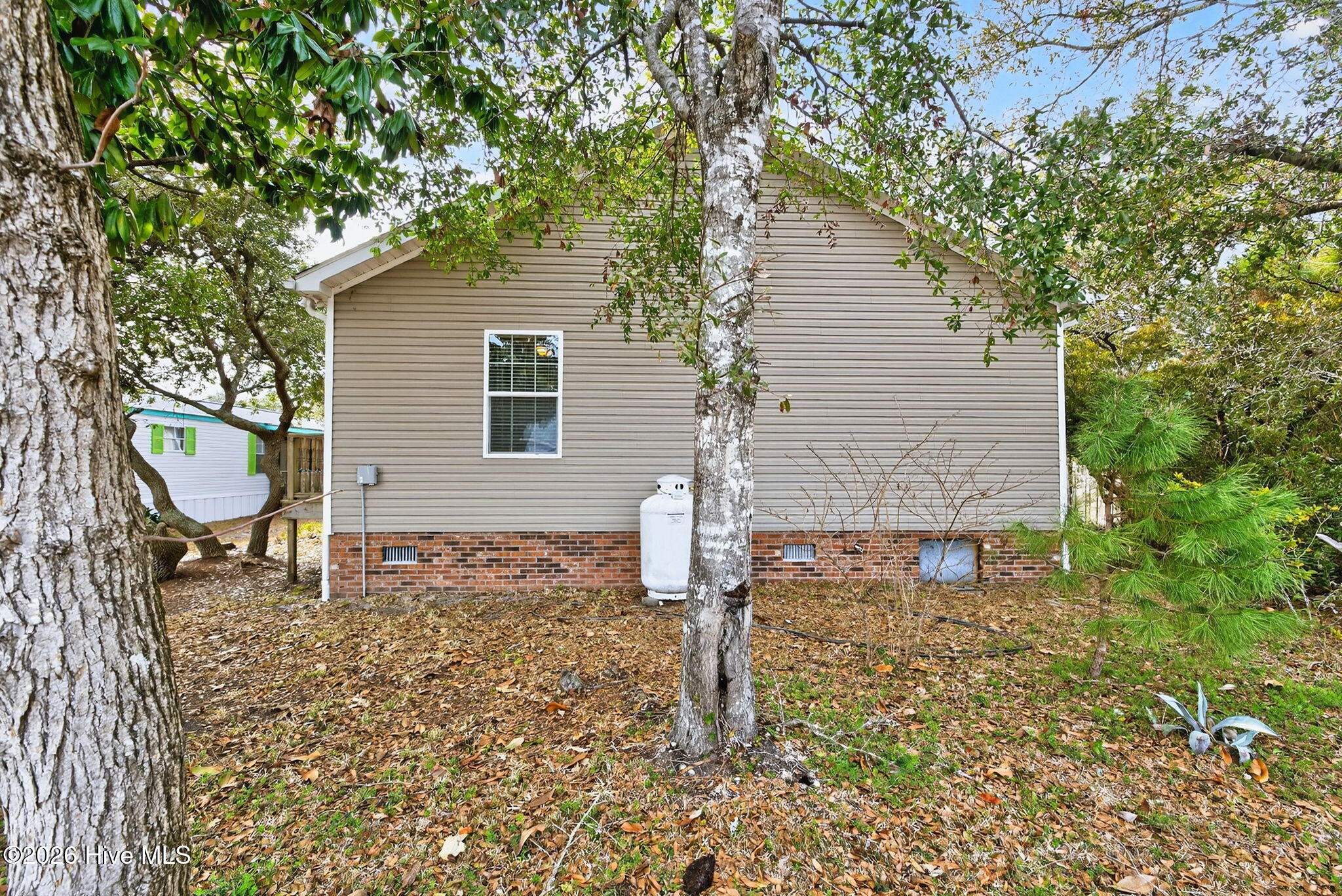 100557070 | Photo 45