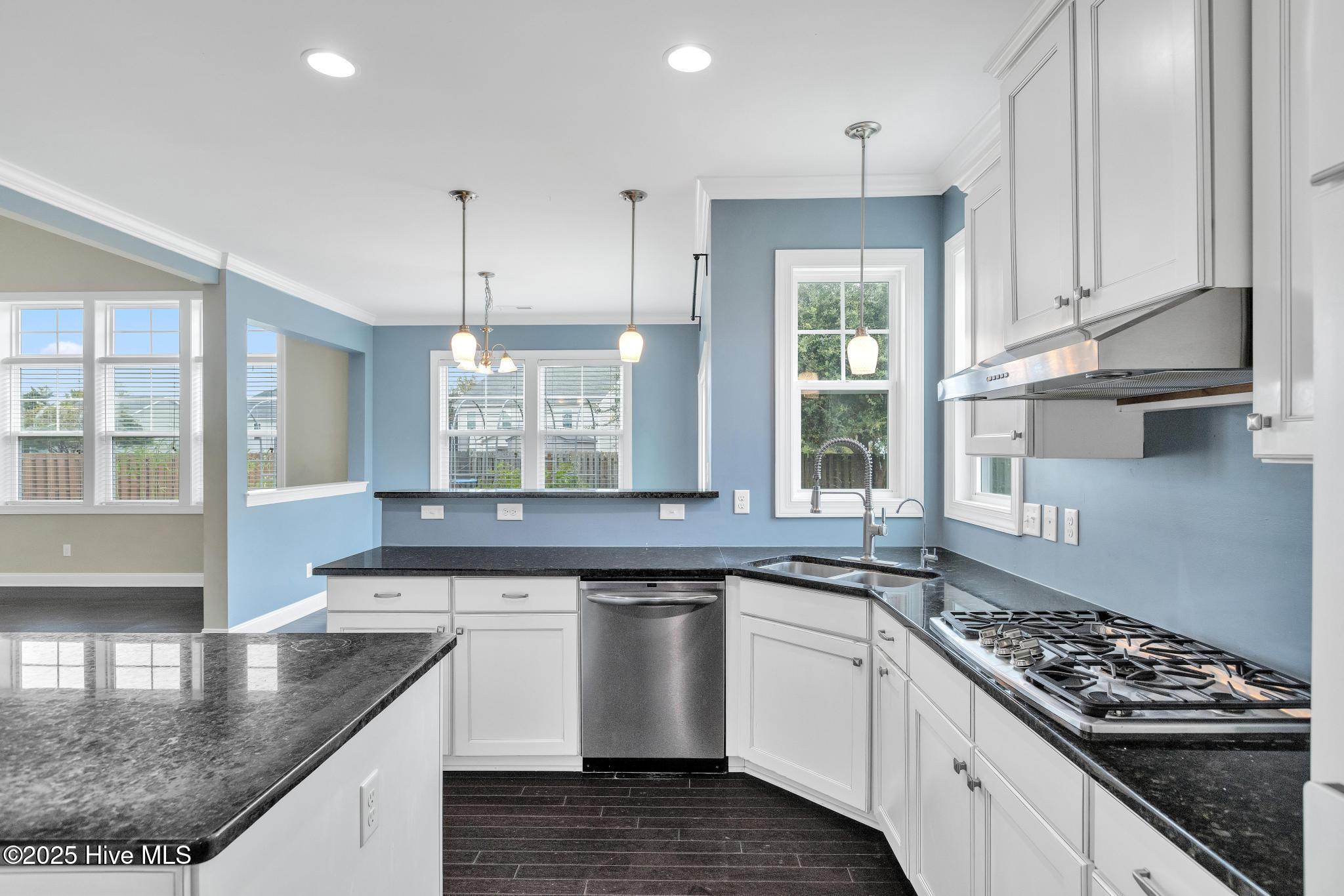 100531239 | Photo 19