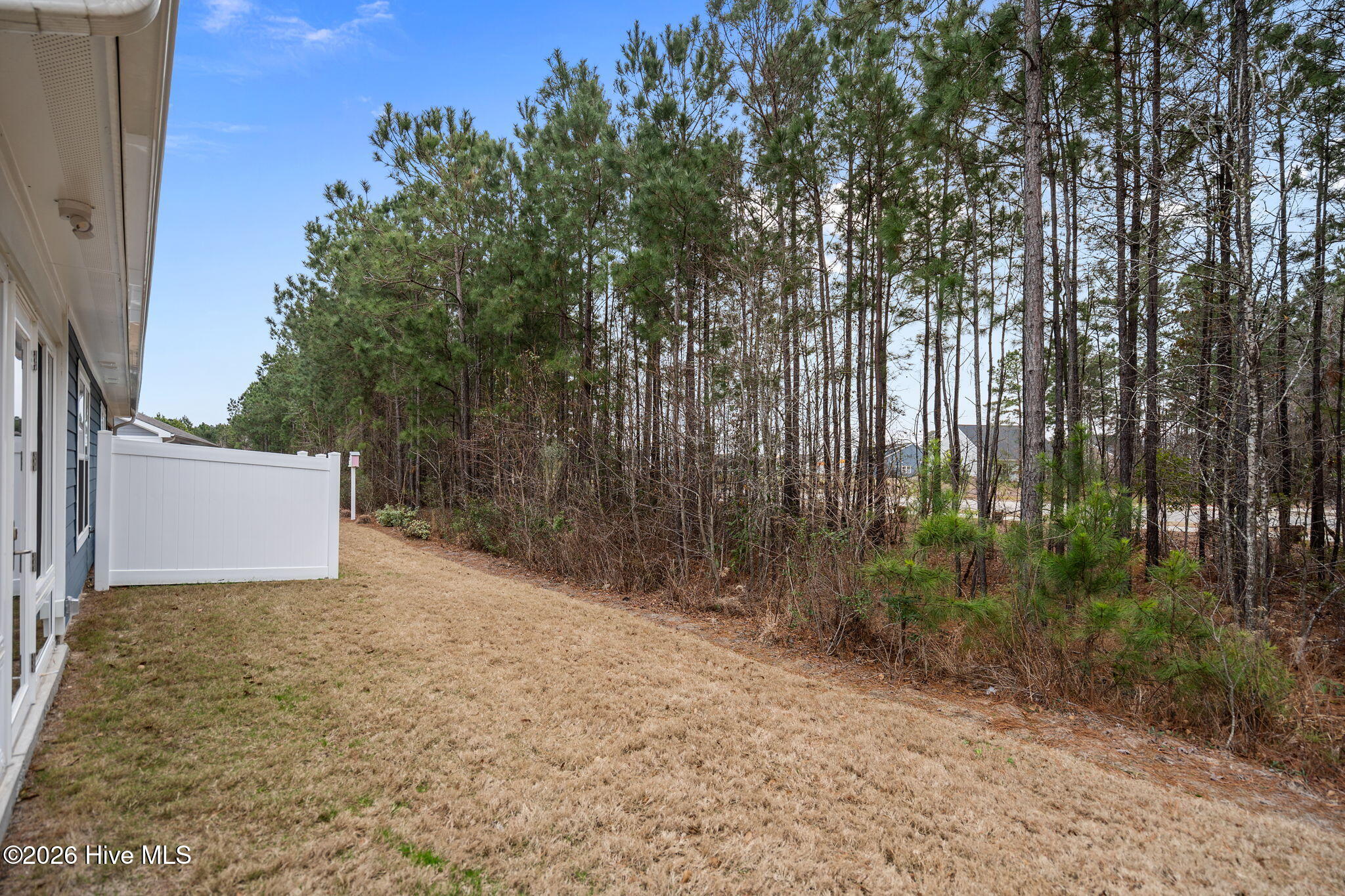 100558026 | Photo 15