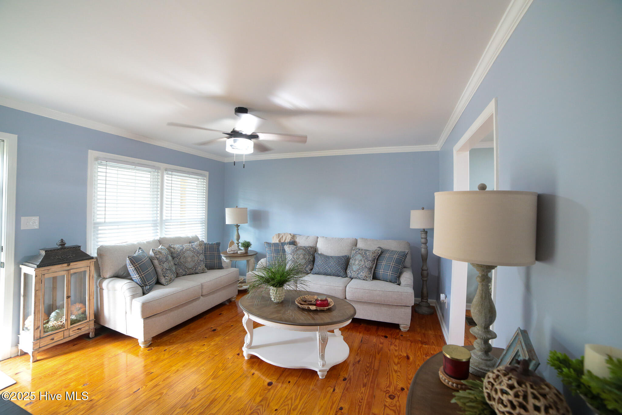 100542481 | Photo 18