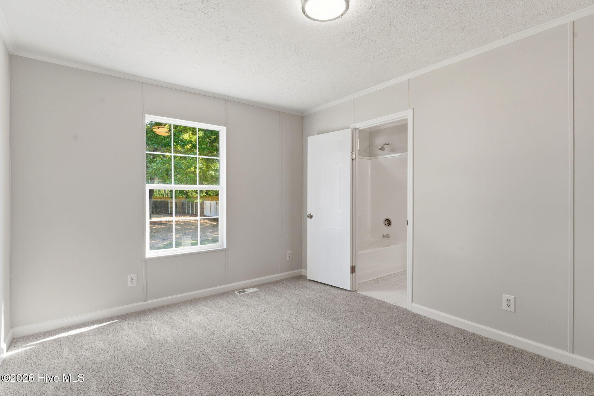 100569540 | Photo 26