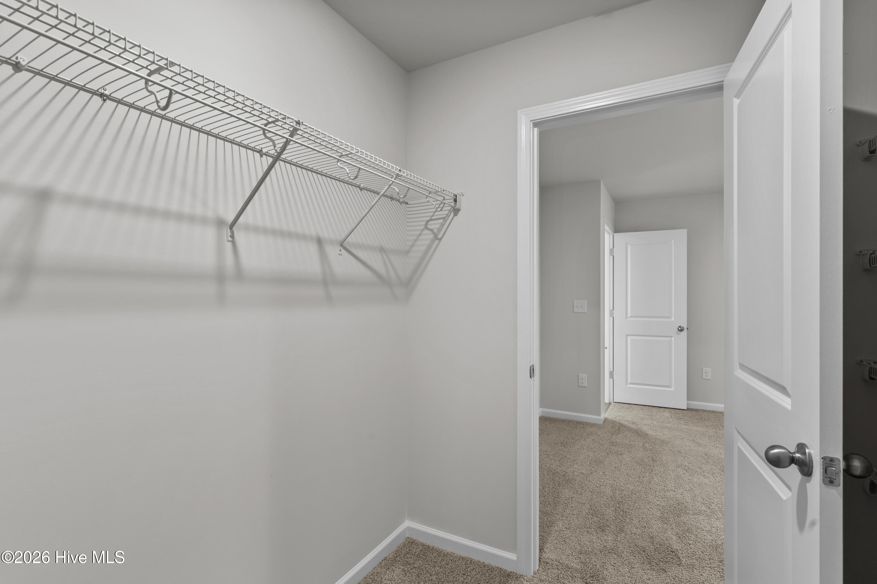 100550179 | Photo 19