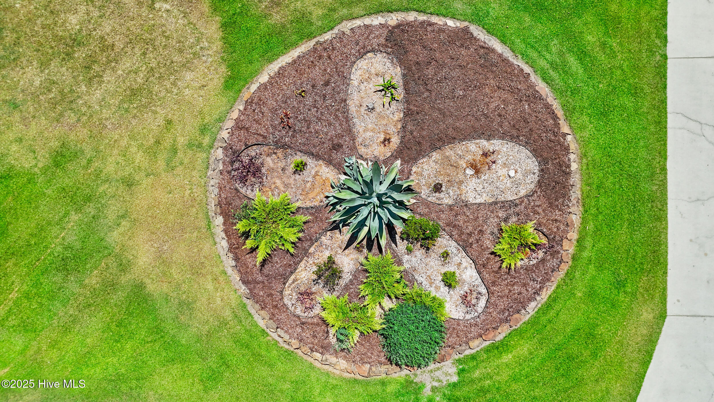 100519629 | Photo 71