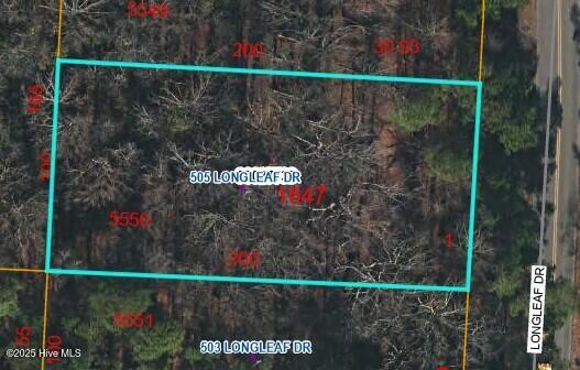 505 Longleaf Drive