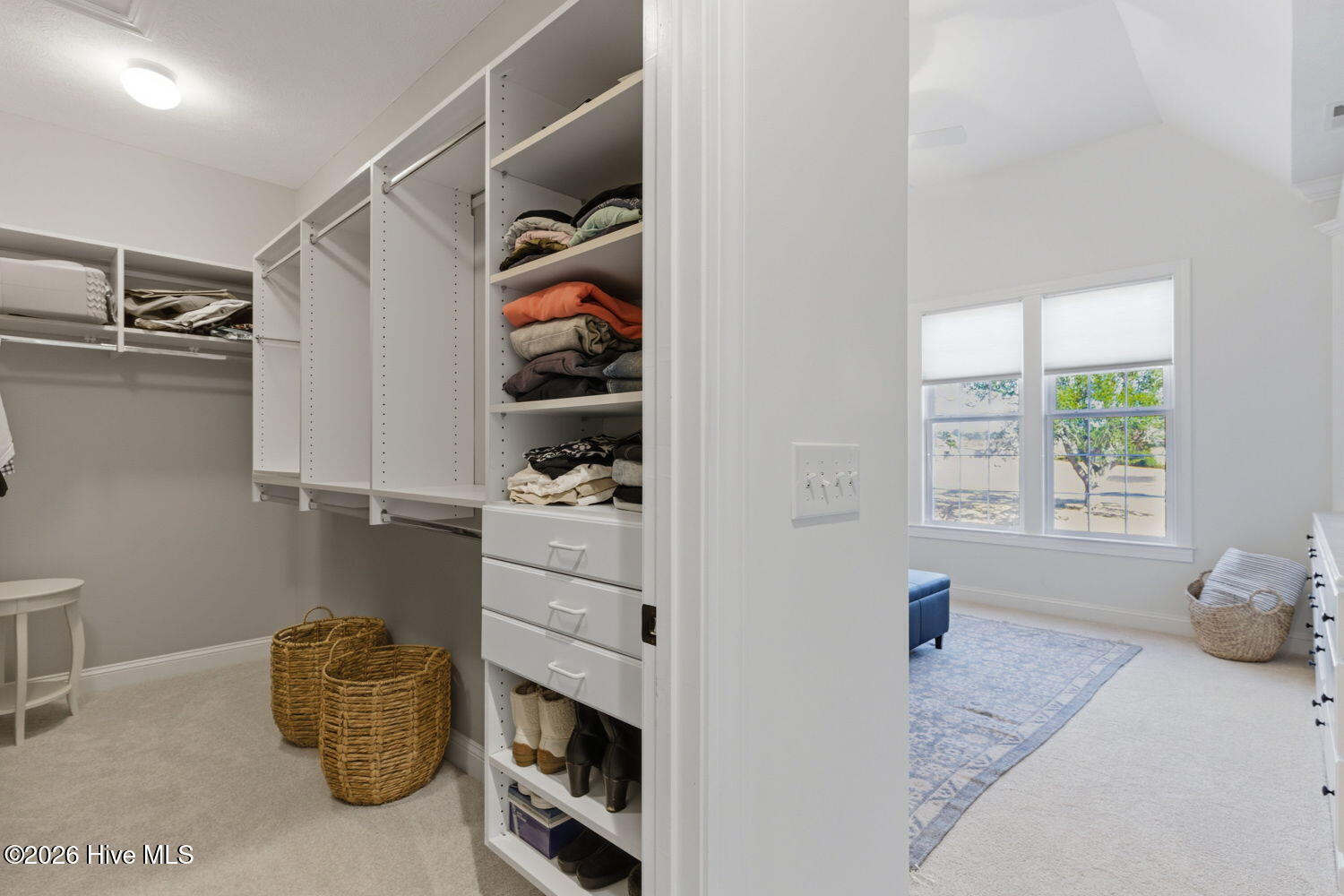 100555099 | Photo 23