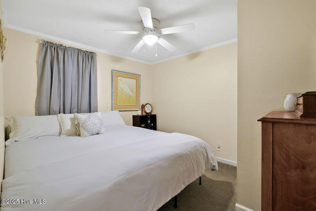 100521494 | Photo 37