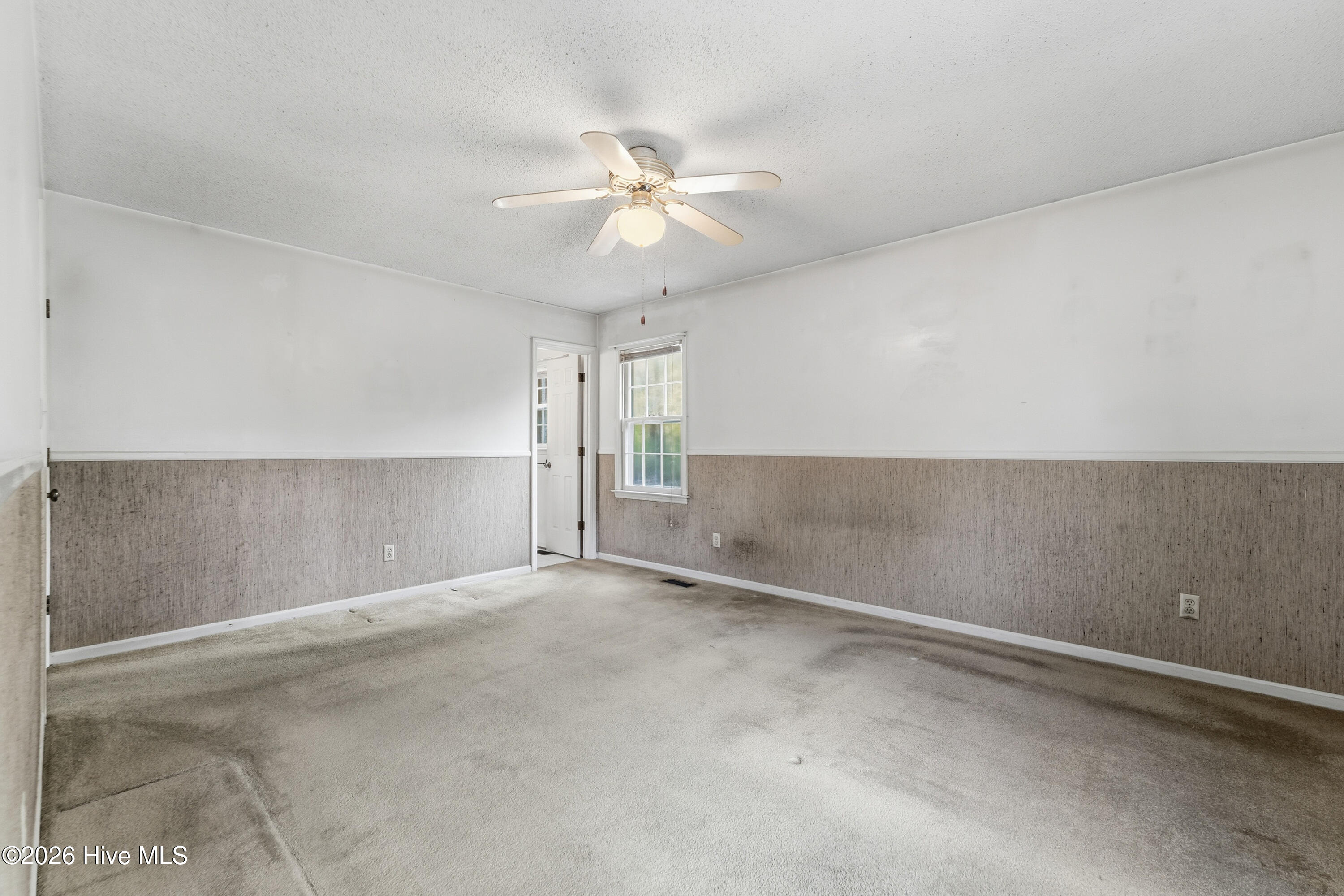 100563491 | Photo 21